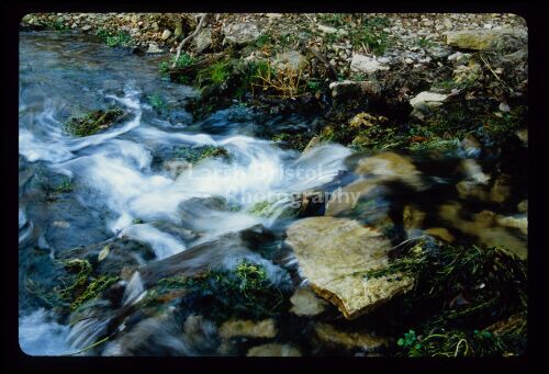 Rocks in a Stream