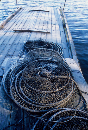 Dock, Nets and Lake/River