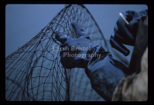 Fisherman Gloves and Net