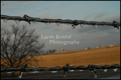 Icicles on Barbed Wire