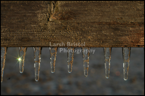 Icicles on Fence