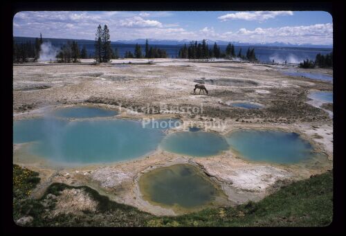 Yellowstone Geyser Pool