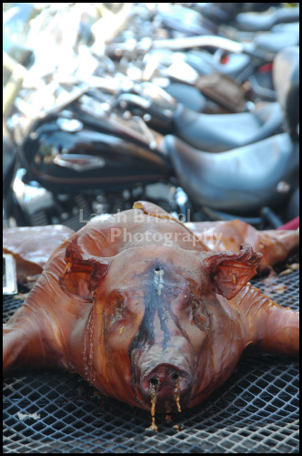 Hog Roast