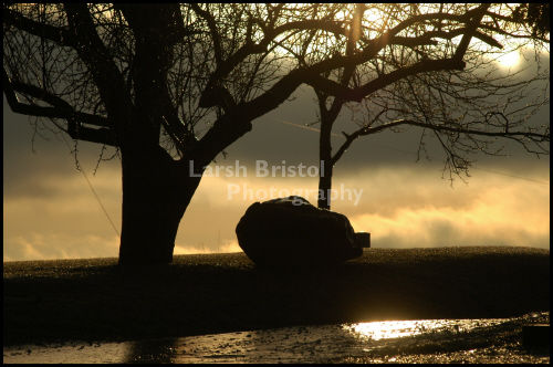 Silhouetted Tree and Rock