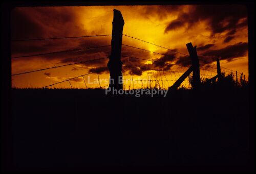 Sunset and wire fence