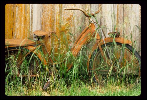 Old red bike