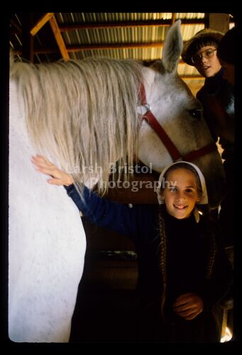 Mennonite Children with Horse