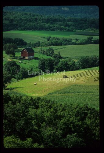 July Green - Balltown, IA