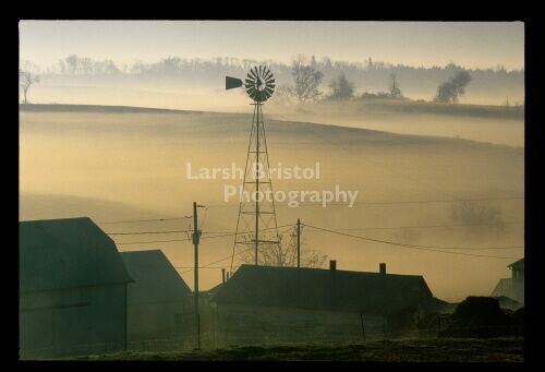 Weather vane in early morning fog