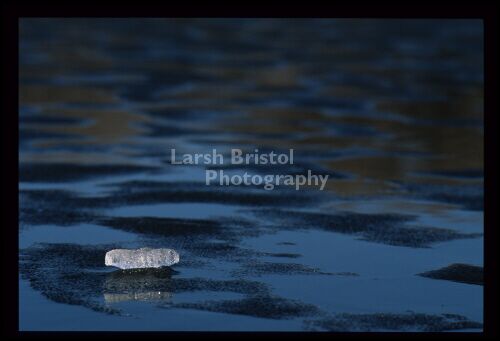 Mississippi Iceberg