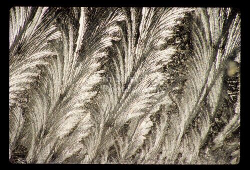 Highlighted Frost on Glass