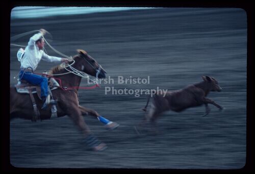 Calf Roping