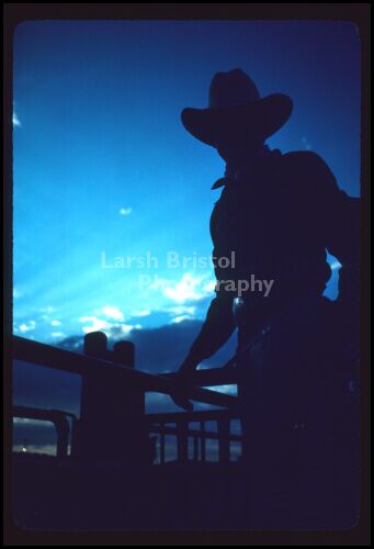 Cowboy Silhouette