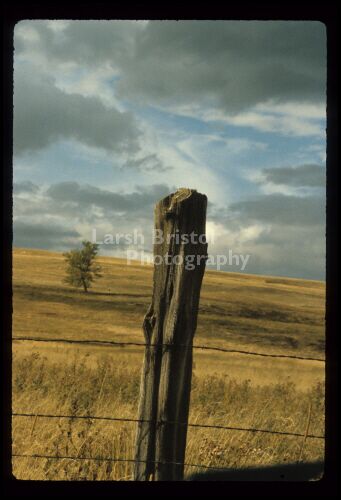 Fence Post