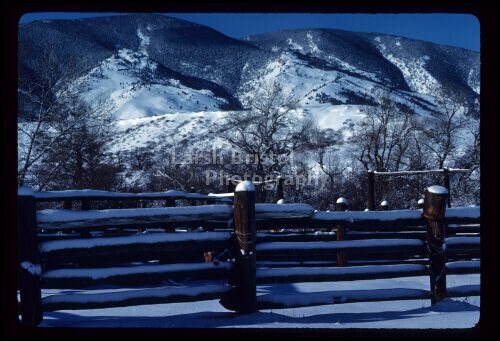 Snowy Fence