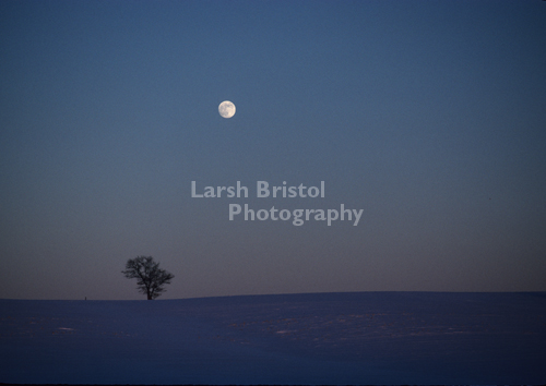 Moon over snow covered field