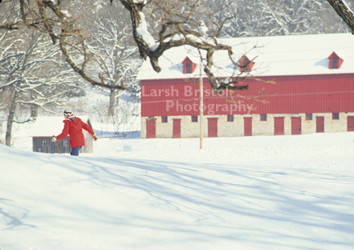 Cross Country Skier near Red Barn