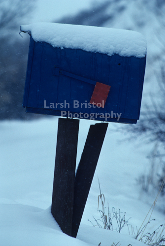 Snowy Mailbox