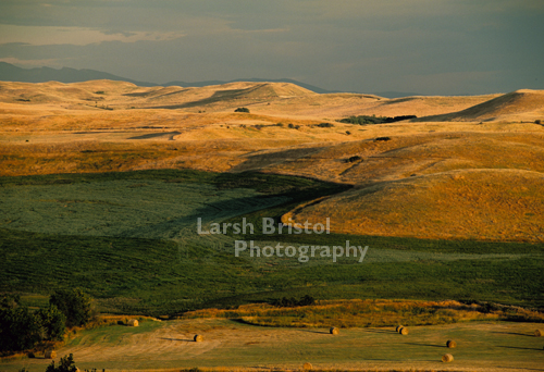 Wyoming Hayfield and Foothills