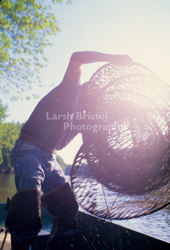 Sun shining through nets