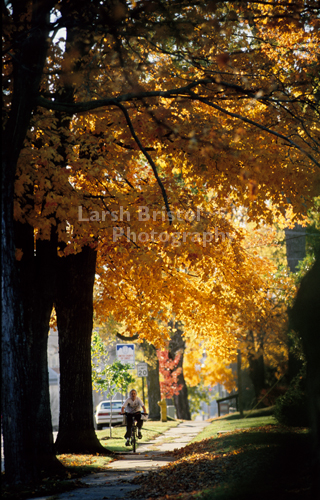 Fall Bicycle Ride