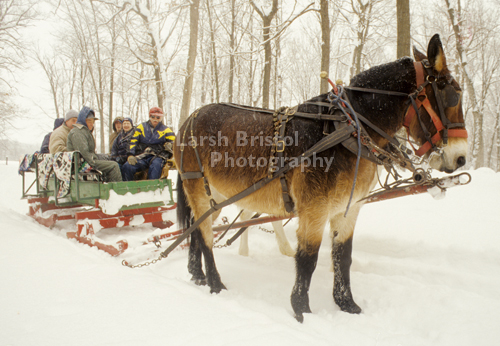 Sleigh Ride