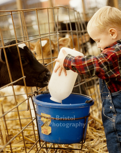 Young Boy and Calf