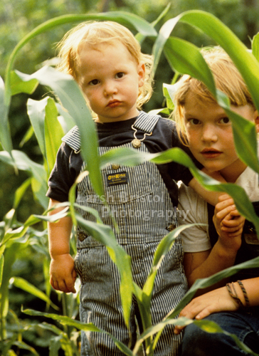 Children in Corn Field