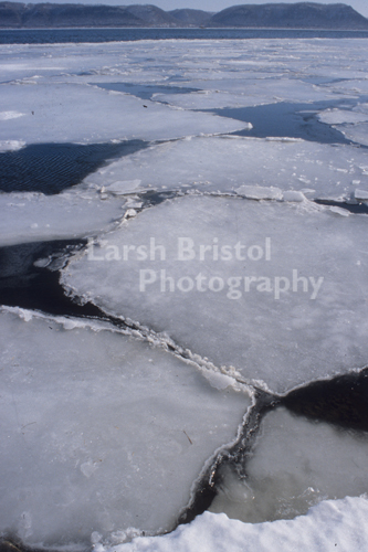 Sheets of Ice on the Mississippi