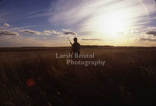 Silhouetted Pheasant Hunter