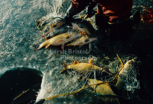 Ice Fishing