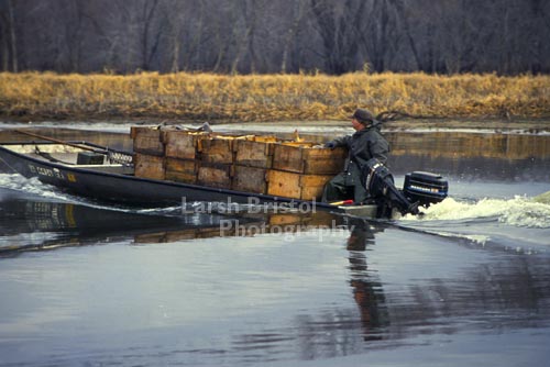 Fishing Boat and Boxes of Fish