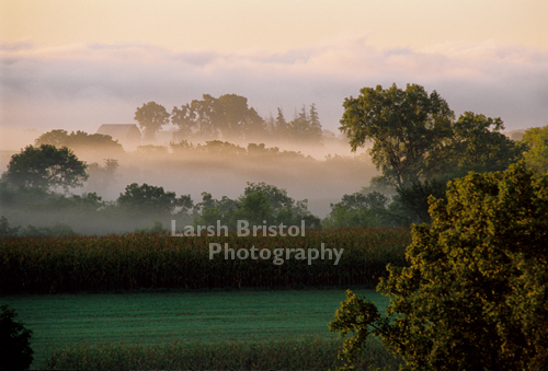 Morning Fog